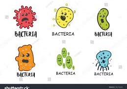 Understanding Bacterial Infections of the Respiratory System